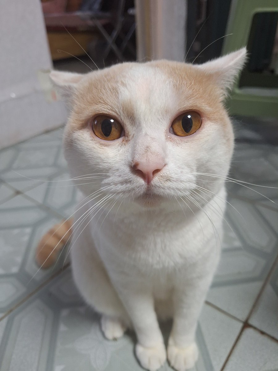 iRstek05's tweet photo. omg why you so ugly why https://t.co/EvgJKWaGoc