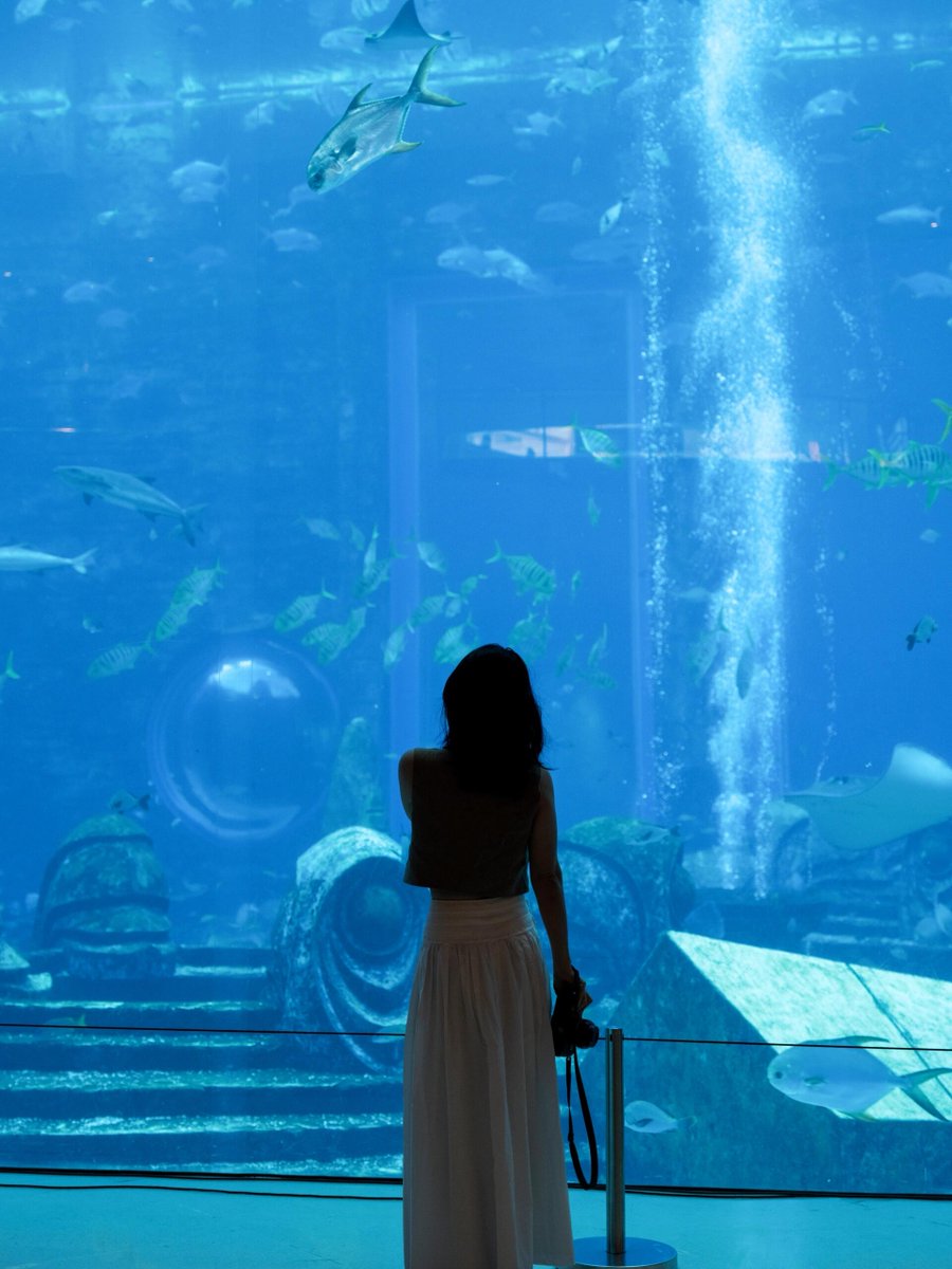 Fabioh144's tweet photo. Looking at these little fish swimming freely in the water, I really envy them. I also want to be a fish without any worries.😃 https://t.co/SzamUsNcjz