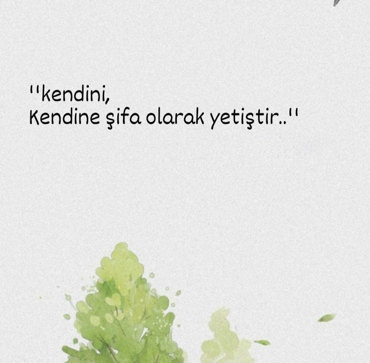 sevgilikendin's tweet photo. https://t.co/GMcBt81bfU