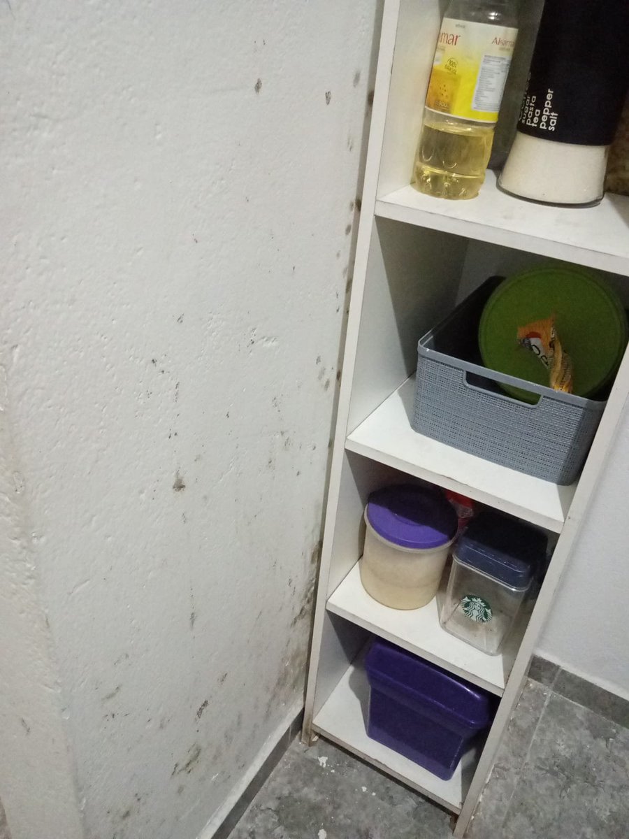 beloncitap's tweet photo. le mandé estas fotos quejándome al dueño del alquiler y me dijo que ES MI CULPA PORQUE SUPUESTAMENTE NO VENTILO ???? https://t.co/HS72tsAwTg