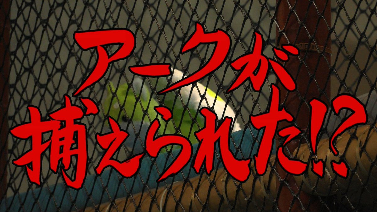 骸骨騎士様、只今異世界へお出掛け中Ⅱ 第5話 ツイート画像 1