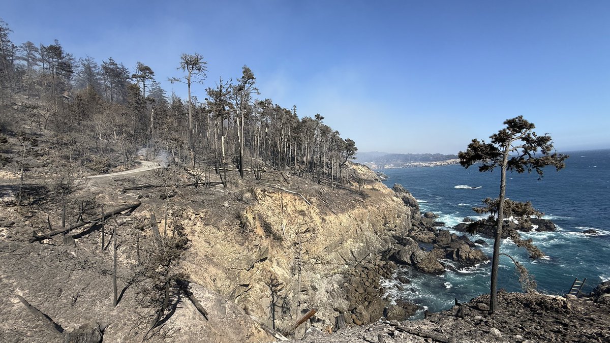 CALFIRELNU's tweet photo. The #WoodsideFire is now 90 percent contained. Crews continue mopping up remaining hotspots and securing the fire area. https://t.co/mO0yeeChjX