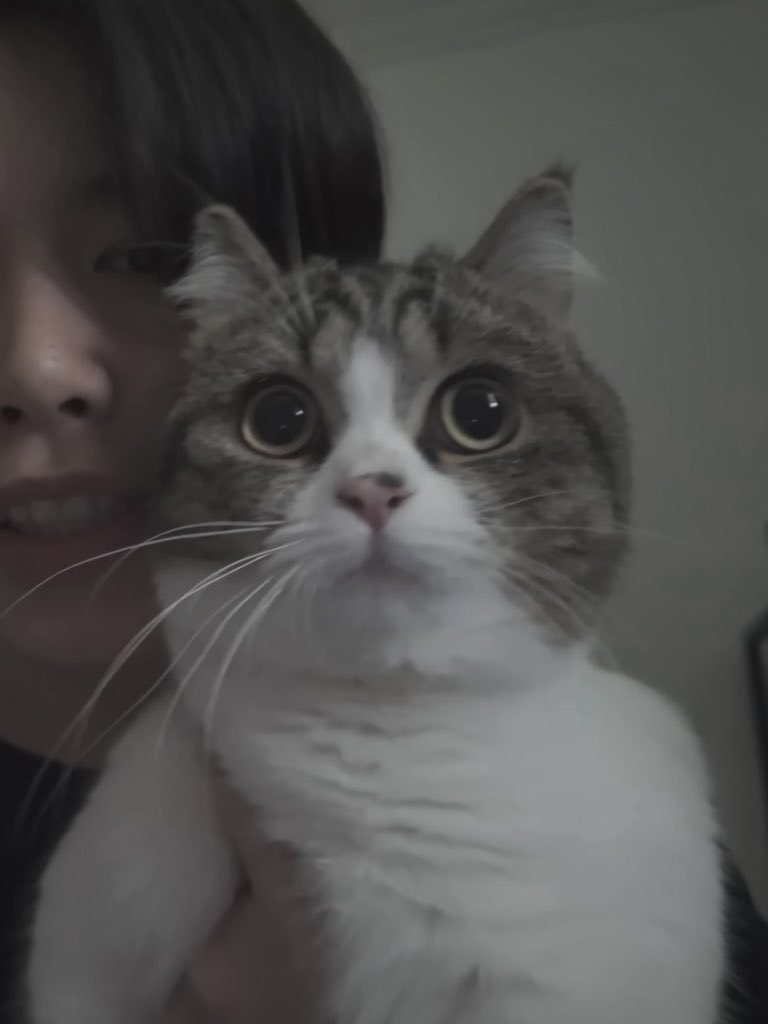 Jymlngshott's tweet photo. 迷子のゾウさん、ハンターそっくり https://t.co/ocSySHNxSp