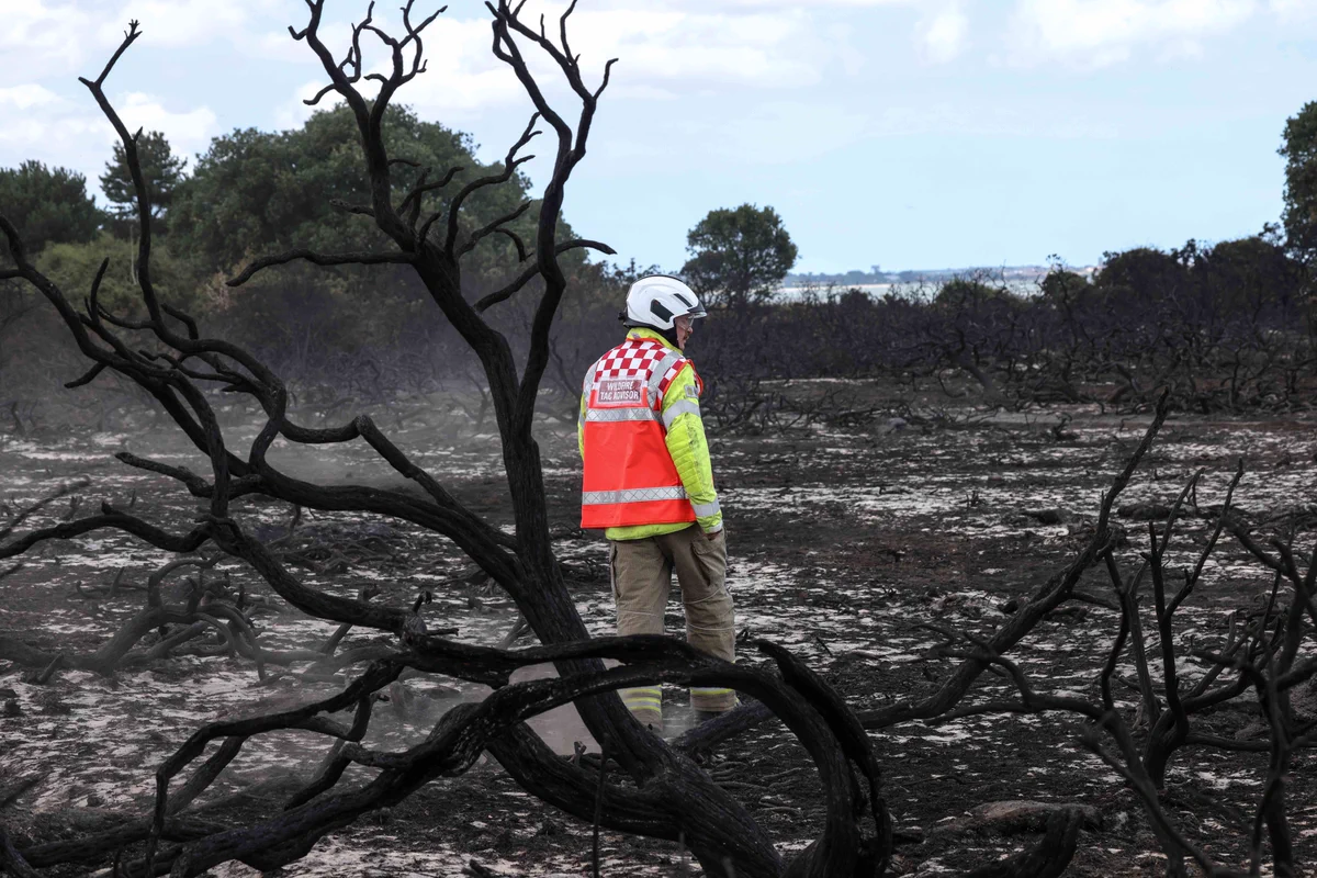 A firefighter on blackened and burned heathland