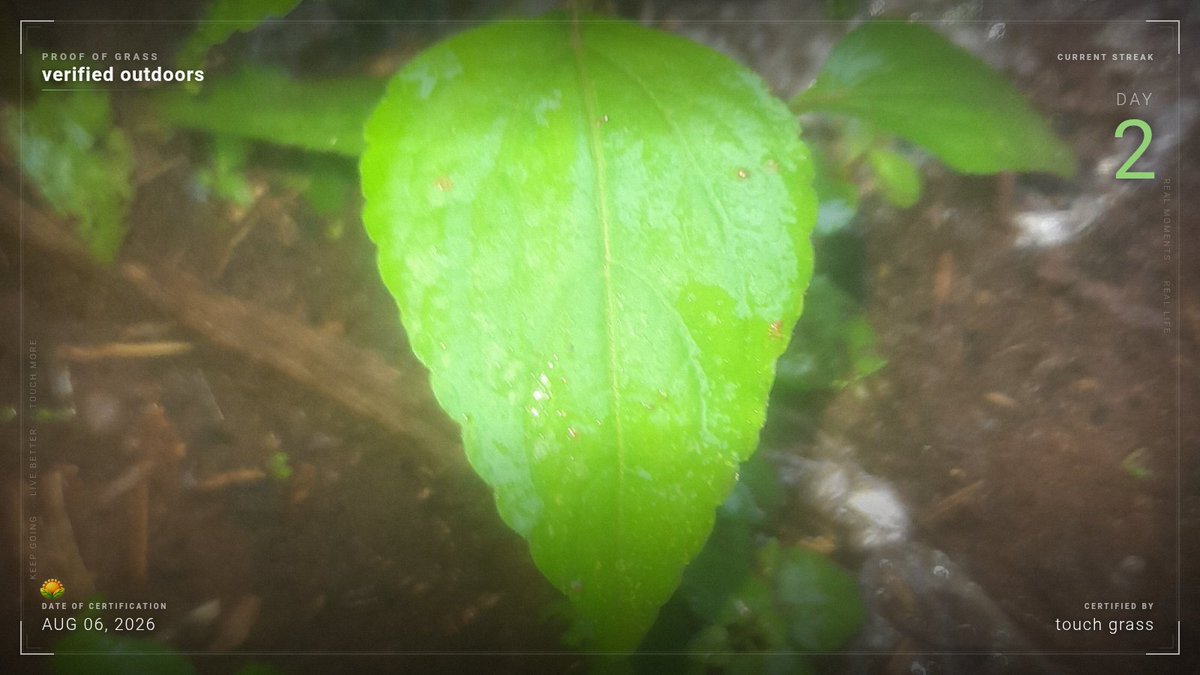Sirobi_X's tweet photo. submitted. the ledger does not lie.

Day 2 · proof of grass 🌿

$TOUCHGRASS #TouchGrass #ProofOfGrass
@XTouchGrass
Join me:
https://t.co/7TU4EcaOws https://t.co/HDzMtEr5JG