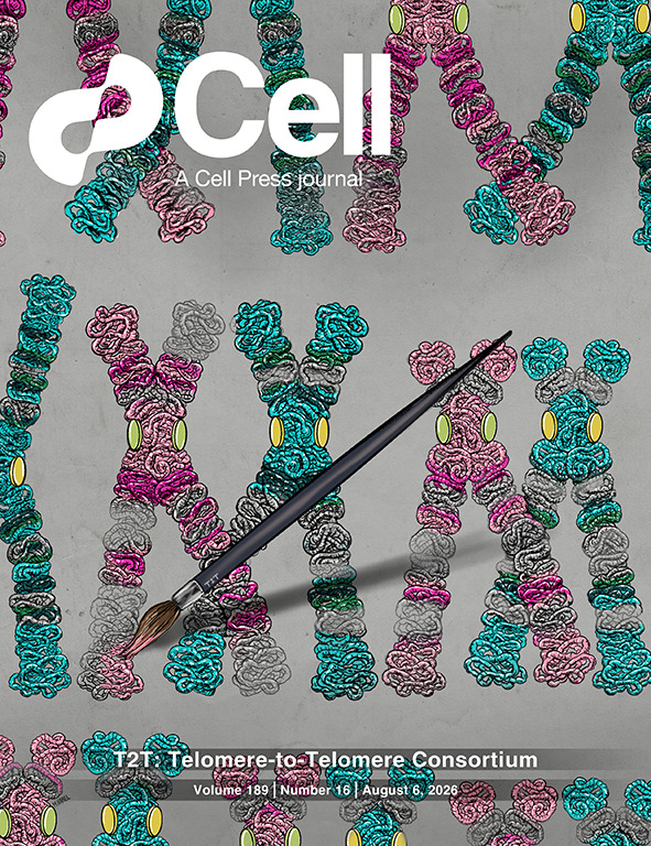 CellCellPress's tweet photo. New issue alert👉https://t.co/uP2kI6DjtL  

On the cover: The Telomere-to-Telomere Consortium has finished the complete, diploid genome of a person. The cover is inspired by a karyotype of the chromosomes in metaphase, representing the two haplotypes as different colors. https://t.co/20HrGyNzq2
