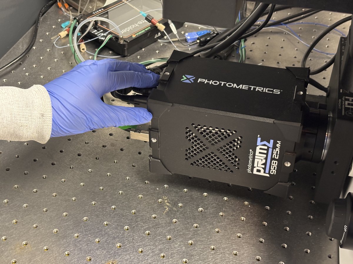 JunckerLab's tweet photo. We are extremely grateful for @TeledyneDALSA's support as a sponsor for the 16th Annual Hands-on Workshop in 3D Printing and Microfluidics for Bioengineering! We are using their Prime 95B cameras for single-particle resolution imaging of various nanoparticles in solution! https://t.co/f99JVVXz3B