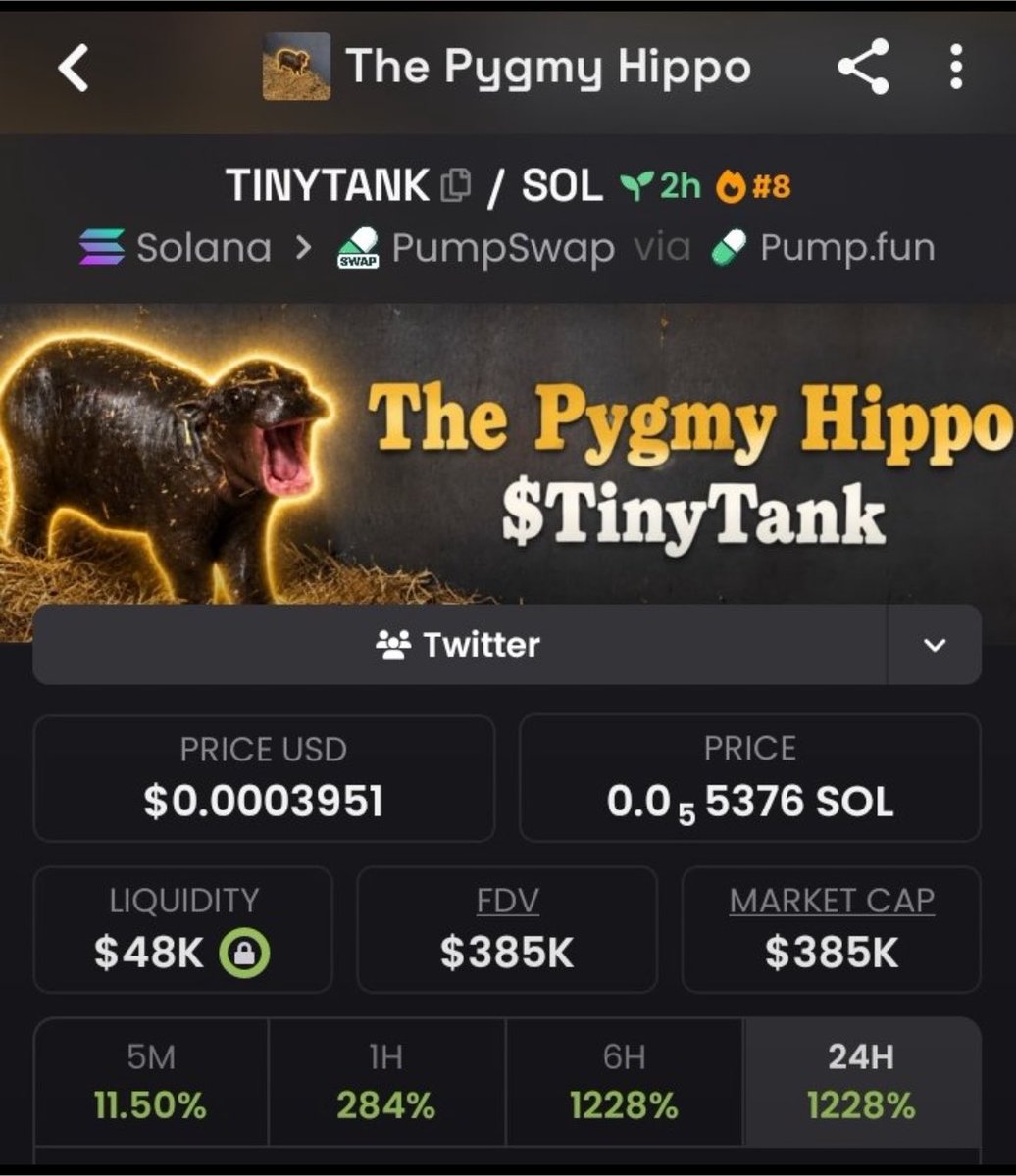 KingOfIbrox0's tweet photo. Spotted $TINYTANK at $5K MC 💎
Now trading around $385K MC 📈🚀
The best opportunities are found before the crowd arrives.
Follow me & DM to join the TG + Discord.
CA: AA3VLt3muGJiXedDaMnkcst3pfjrg1JBxgHVSdSbpump
#CryptoGem #AltcoinAlert #Web3 https://t.co/RqU8zBZaMI