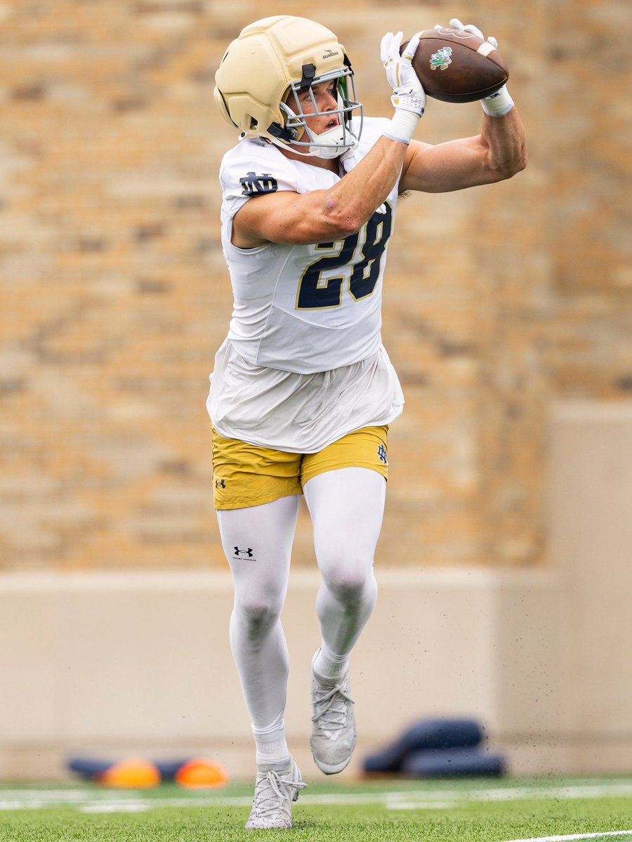 NDFootball's tweet photo. We are SO BACK 🤩

#GoIrish☘️ https://t.co/WHUKiDCcDc
