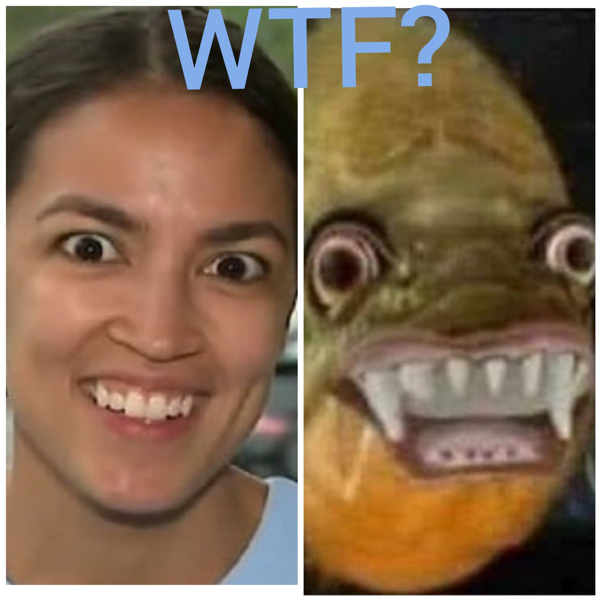 BtTexas's tweet photo. @TW_Research07 What do you think? I would never vote for this piranha!😡🖕 https://t.co/CwM9EcK9gn