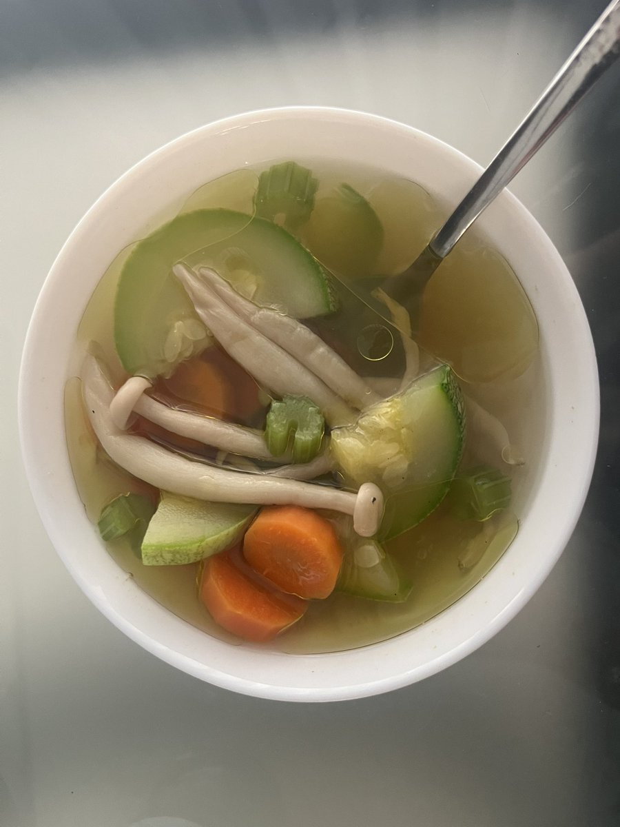 liliestwt's tweet photo. omad

20g of fat because im taking accutane😞
and the soup itself is 154 for 3 bowls like the photo :) https://t.co/g5zaz5exYd