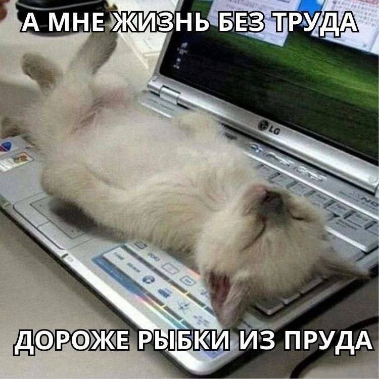 catsilcats's tweet photo. https://t.co/Gz8fuscMqb