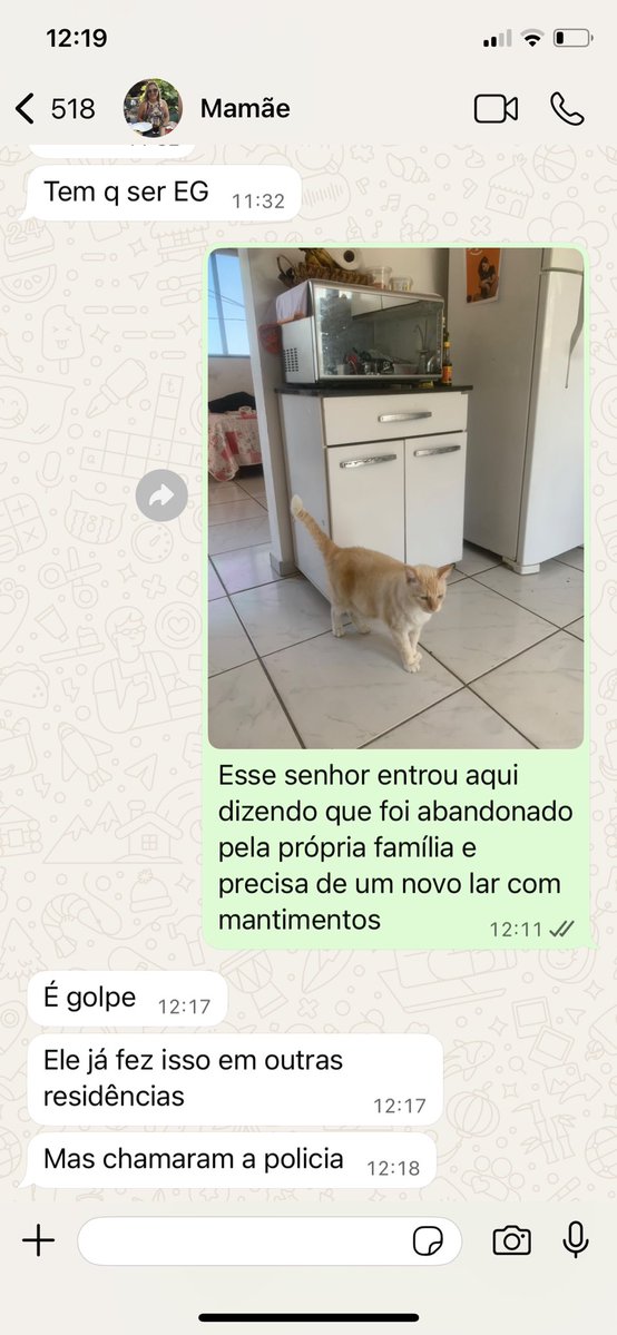 bolchemila's tweet photo. Melhor decisão de 2025: morar em cima da casa de mamãe e dividir os gatos às vezes https://t.co/WoQRPU4eZq