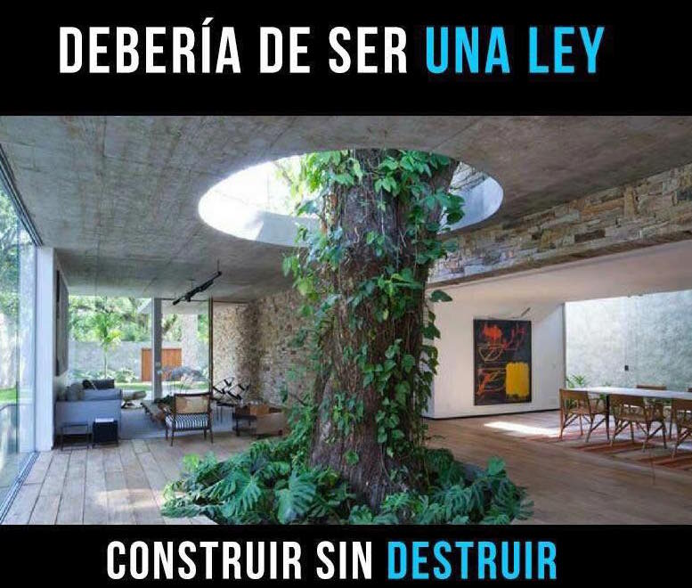 EcoInventos's tweet photo. 🌳 Construir sin destruir no solo es posible, también es una forma inteligente de cuidar nuestro planeta. Esta imagen nos recuerda que el progreso puede respetar la vida que ya existe. 🌍 https://t.co/P1eS6SnThK