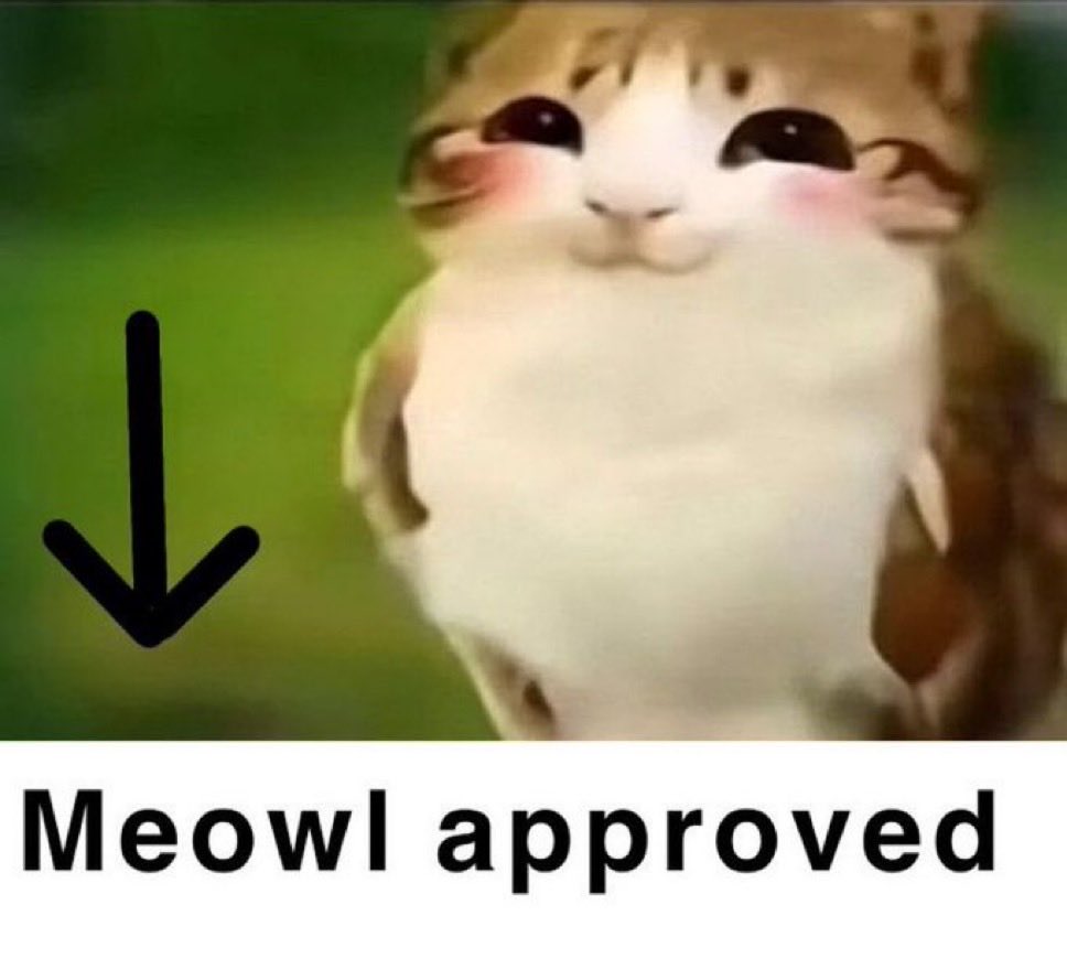 Fredziii0's tweet photo. @meowlposter https://t.co/h2odBGP41b