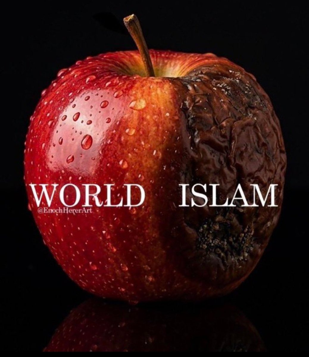 crvdox's tweet photo. @TheHarrisSultan The slap of reality these invaders are going to face will be of biblical proportions. https://t.co/rPKgq33CLZ