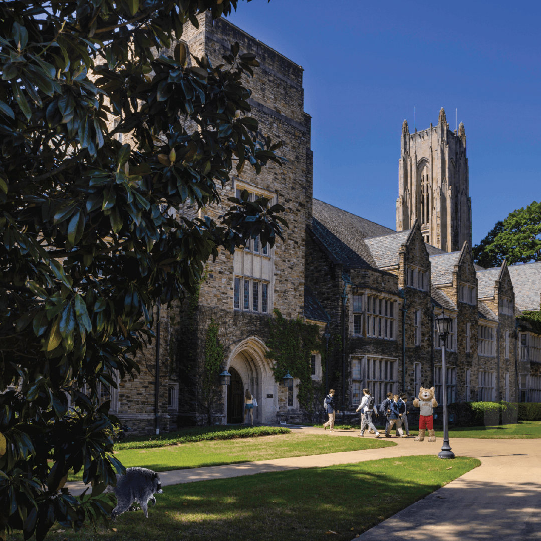 RhodesCollege's tweet photo. It's been a long Jimothy summer, and we can't wait to have everyone back on campus! 🦎

#HiddenInPlainSight #MechaChameleon #Jimothy #RhodesCollege #whereswaldo https://t.co/ZloGVZivc5