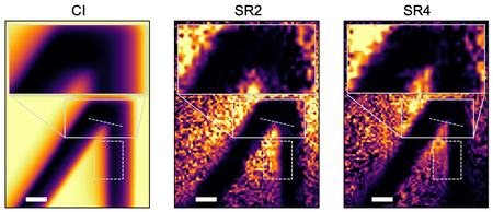 CaltechEAS's tweet photo. New Quantum Microscopy Trick Quadruples Microscope Resolution
https://t.co/MQuF7zXEr6 https://t.co/pVG9u2I6i0