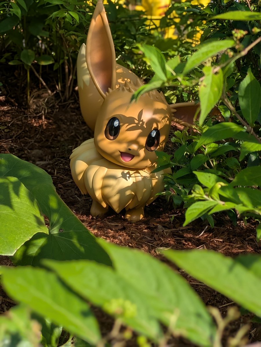hooo_nun's tweet photo. 自然とポケモンって、すてきだよね
ポケパーク最高 https://t.co/d1bEik79PC