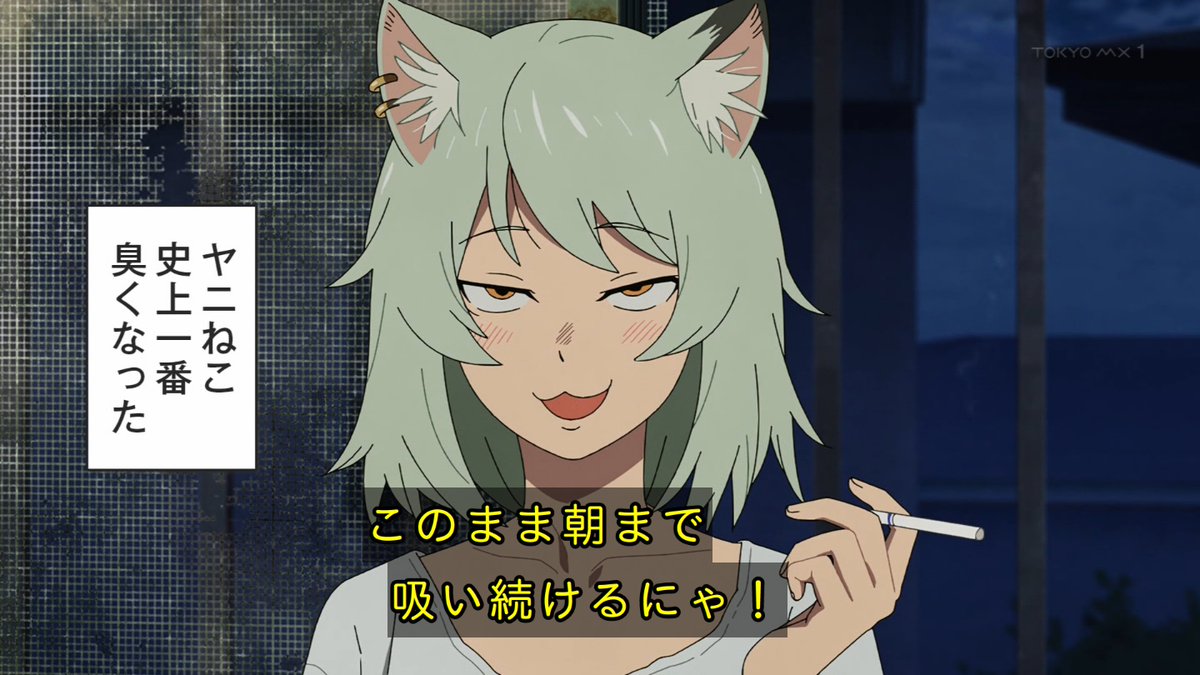 ヤニねこ 第6話 ツイート画像 1