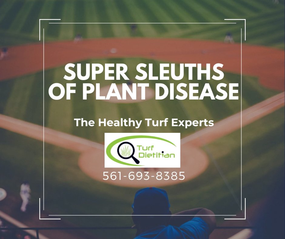 TurfDietitian's tweet photo. The Turf Experts  
#turflife#turfgrassmanagement #irrigation #golfcourse #lawncare #irrigation #agriculture #turf #landscaperforpalmtreesinjupiter #PalmbeacGardens #Jupiter #JunoBeach #Tequesta #PalmBeach #Palmbeach_community #SoilTesting #BeCrop #SoilHealth @palmbeachmagazines https://t.co/n6rpiR4M2J