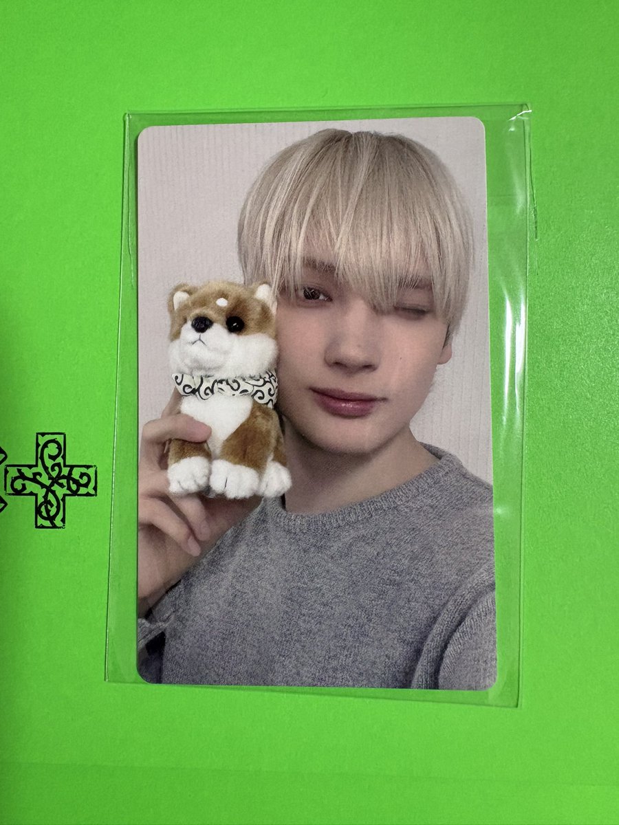Bunny0z's tweet photo. TXT トゥバ MOA CON モアコン ラキドロ トレカ 交換

譲 : 兵庫ヒュニンカイ

求 : 同種ボムギュ

📮郵送希望
お心当たりのある方はお気軽にお声掛けください
#TXT交換 https://t.co/9FEFWDUUL7