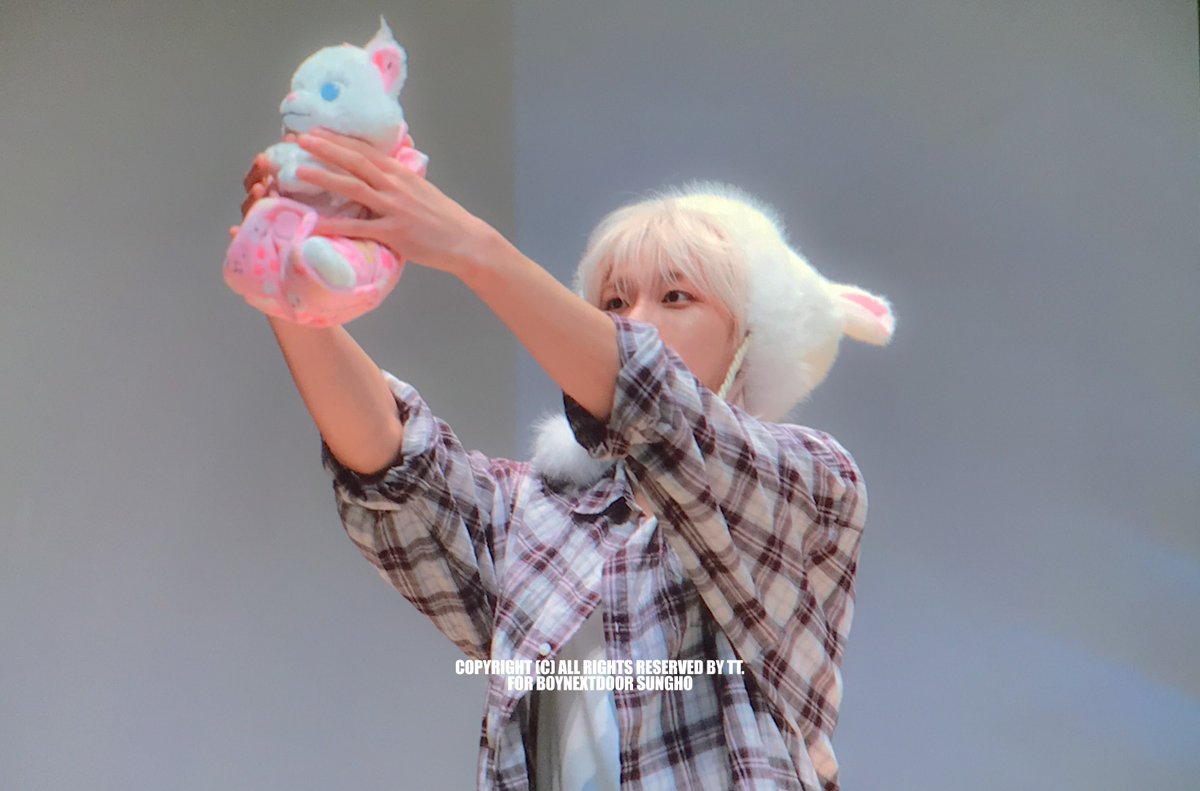 zipsaa_'s tweet photo. 심바한테 해봣을까ㅋㅋㅋㅋㅋ https://t.co/NtR1l35C0R