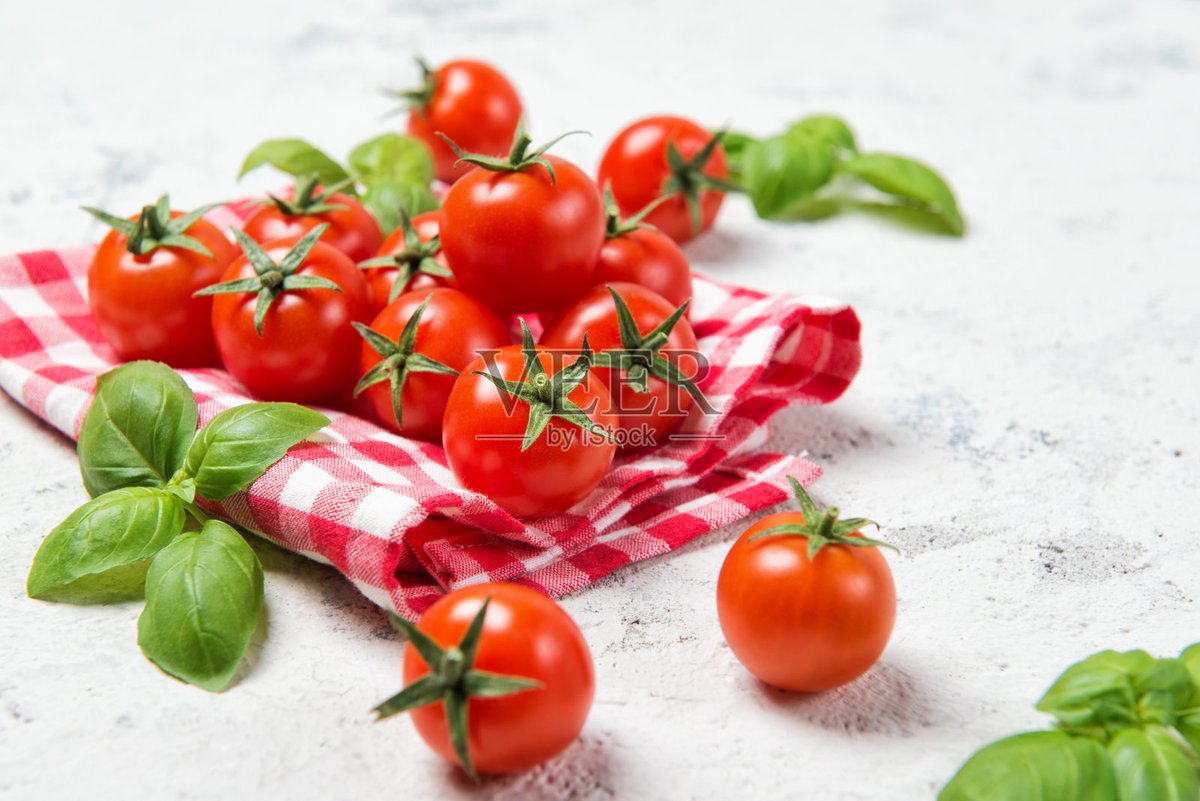 OraBradeyyv's tweet photo. Picked fresh organic cherry tomatoes, crisp romaine lettuce u0026 fragrant basil today! Perfect for a light garden salad tonight https://t.co/n5BMZwlxxL