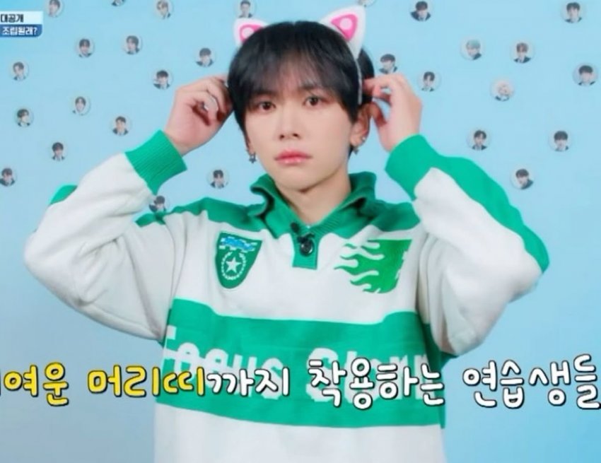 mideok_90's tweet photo. 윈난성 고양이 입양할게요 https://t.co/woPX5L9ORq