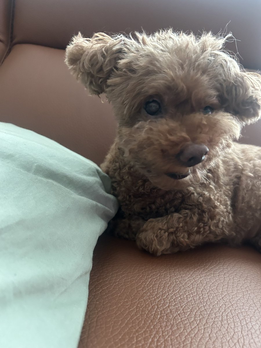 kolilla69's tweet photo. @lovetezzang 기분이 이럼 https://t.co/vHVVGzXlJa