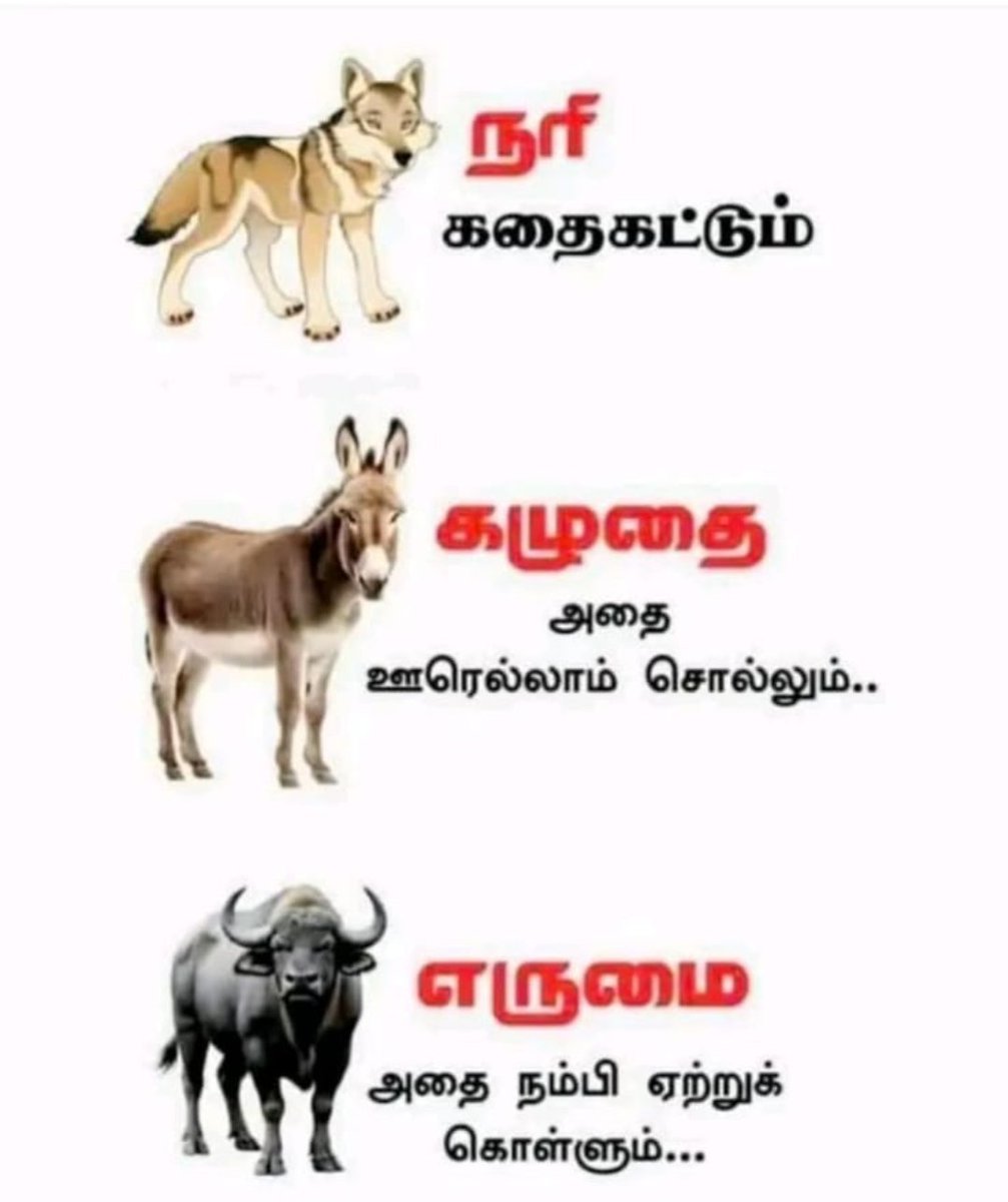 shankarmanivan4's tweet photo. @southraidersoff https://t.co/d7QD6Q0bZw