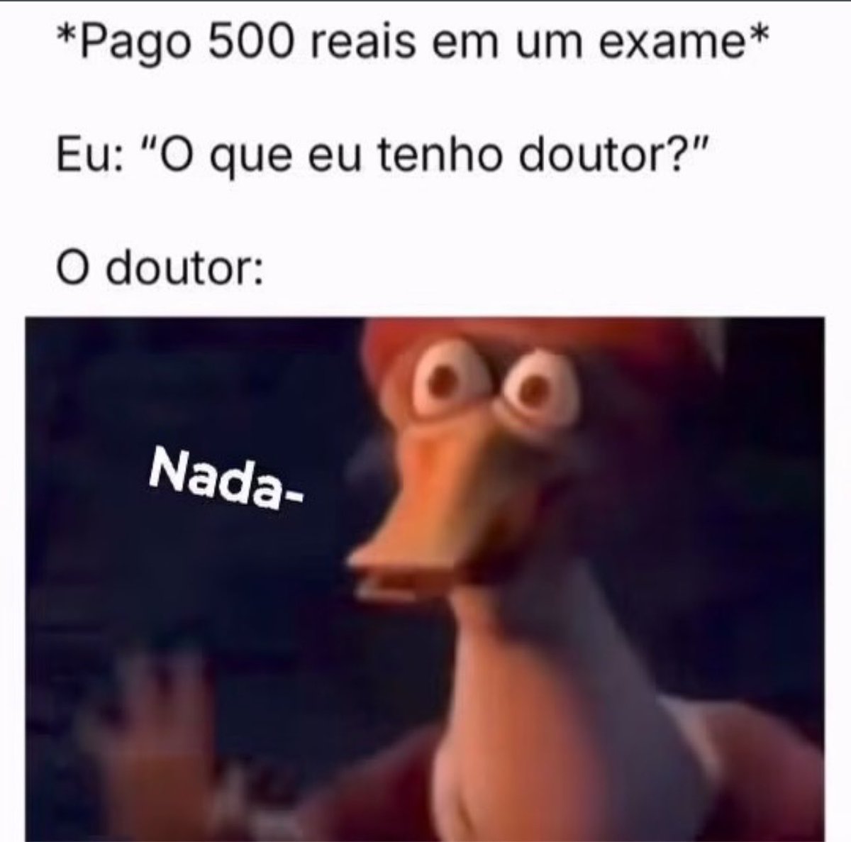 shitpostverdade tweet picture