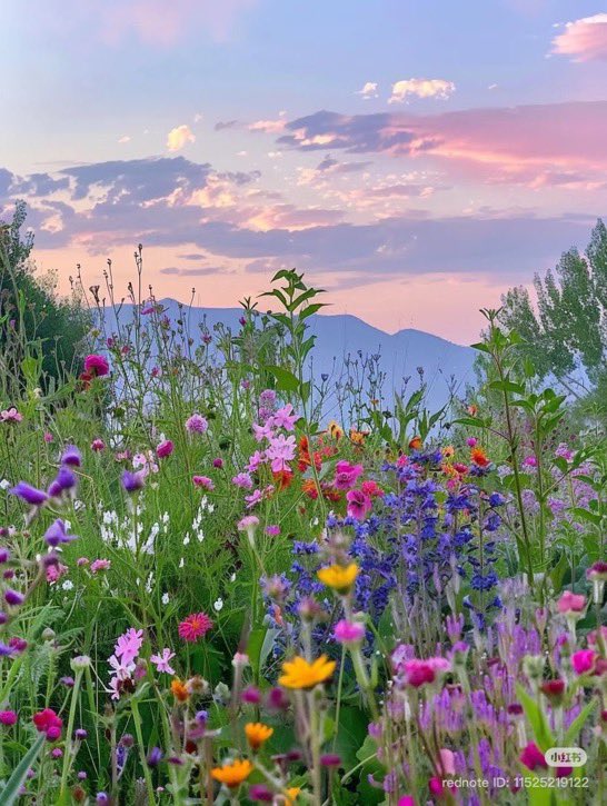 lunecrumbss's tweet photo. earth is a beautiful place https://t.co/coOeXRw4a9