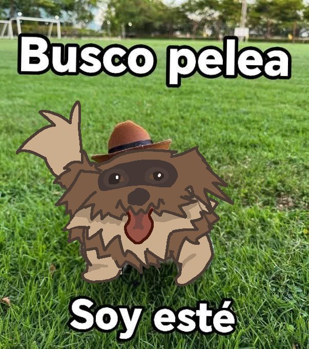 Nyramjrz's tweet photo. Voy a subir los curis que Ise para el #pokemonday Así que miren waaa que bonito 
#Pokémon #art #FurryArt #AnthroArt #CatOC #AnimalCharacter https://t.co/P2FYF06Q76