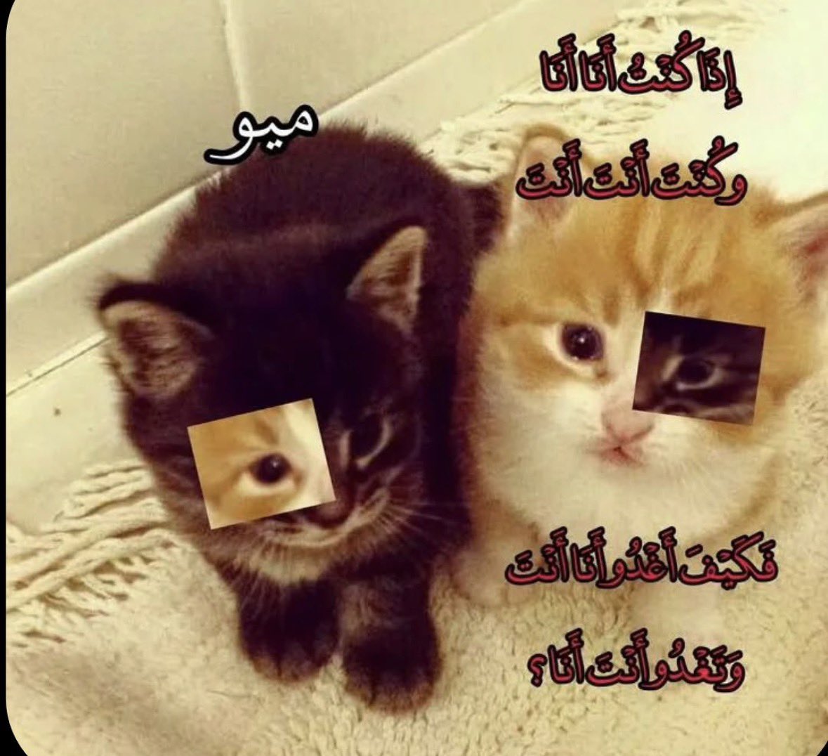 wolliuv's tweet photo. https://t.co/ZXrxiBdRYD