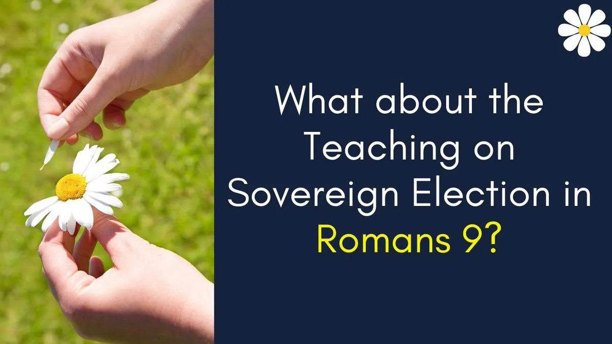 CRInstitute's tweet photo. Brian from Memphis, TN, calls @HankHanegraaff, the host of @CRIBAM and 𝘏𝘢𝘯𝘬 𝘜𝘯𝘱𝘭𝘶𝘨𝘨𝘦𝘥, to ask how one may respond to the clear teaching on sovereign election in Romans 9. Listen: https://t.co/4FRBACVNcJ #bibleanswerman #godssovereignty #romans9 https://t.co/YDnTIyCew1