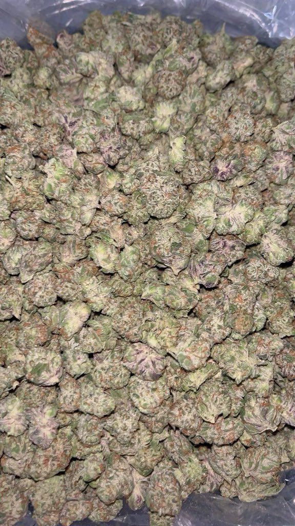 JUNKD3LVRRY's tweet photo. Welch’s Grape Smalls
$375 per ps
Grab 10ps $2,000 Shipped 🚢
Grab 20ps $3,500 Shipped 🚢
Grab 30ps $4,500 Shipped 🚢
50-60ps available on hand TODAY
They ALWAYS fly. Get em while we got em 🔥
https://t.co/PkHoMtd3qv
#stayhigh #weedplugusa #cannabisweed #cannabisplug #fourtwenty #UK #weed #cannabis #england #gorillagrow #fastbuds #autoflowers #thca #stoners #stonerslife #highlife #medicalcannabis #thc #cbd #smokers #caliweed #nycweed #atlweed
#texasweed #denverweed #ohioweed #alaskaweed #alabamaweed #Arizonaweed #coloradoweed #delawareweed #floridaweed #oregonweed #nebraskaweed #nevadaweed #newmexicoweed #virginiaweed #Rosin #HashRosin #Solventless #CannabisCommunity #WeedTwitter #Terps #LiveRosin #CannabisCulture #HashHead #ColdCure #FreshPress #CannabisCommunity #DabLife