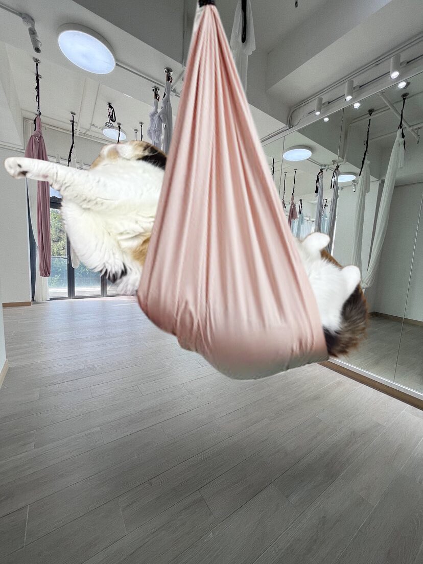 xxBEARBLURxx's tweet photo. ชีขยันออกกำลังกายเนอะ https://t.co/tDw7KH7aDt
