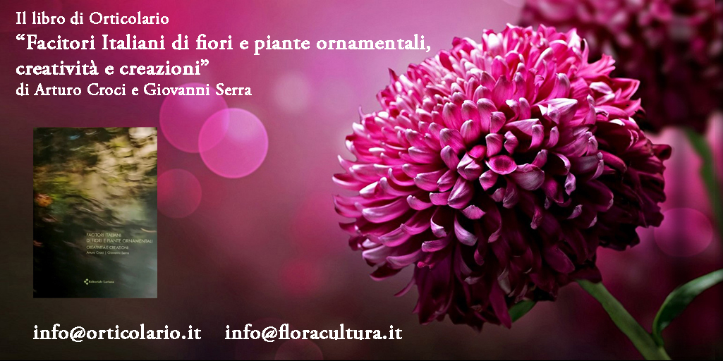 ArturoCroci's tweet photo. Il libro di Orticolario
“Facitori Italiani di fiori e piante ornamentali, creatività e creazioni.”
Il libro della costituzione varietale di fiori piante.

TheWriters_Heaven #floriculture #breeding #ornamental #genetic #history #BookTok https://t.co/dEVOKy3tys