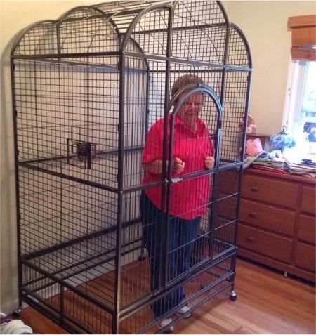 goldmanbear's tweet photo. grandma stays in the cage until we’re back in the top 5 for unique donors
yall got nine hours left open those checkbooks
https://t.co/WOweYkRHaC
#CalGoForGold #Calgorithm https://t.co/RuWO9bbYYV