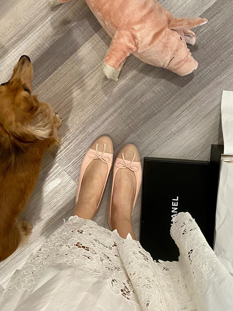 wopenmh's tweet photo. Pink ballet flats https://t.co/ReQpamkLBY