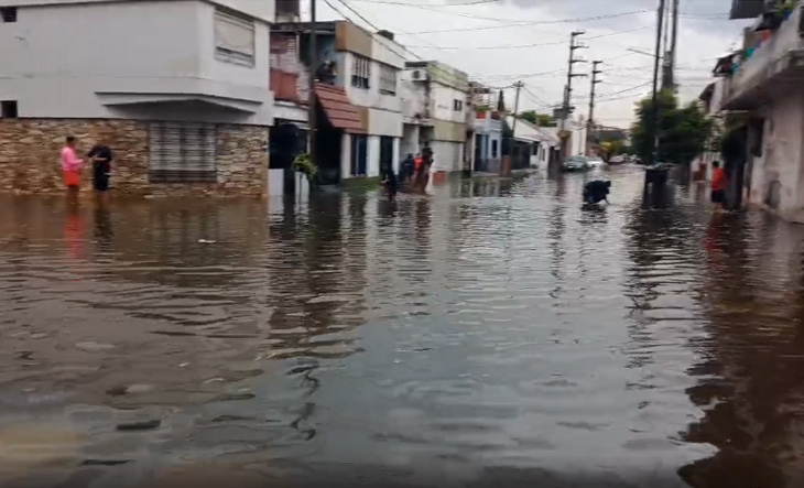 Daniel67735075's tweet photo. Conourbano Bonaerense la gran comarca del zurdo Kiccillof.
Donde si te quedas adentro te moris ahogado, si salis pisando mierda te afanan.
El gran simio peronista, lo sigue votando.
Cosa veredes que no crederes Sancho.
El Administrador. https://t.co/oiw5xomWHk