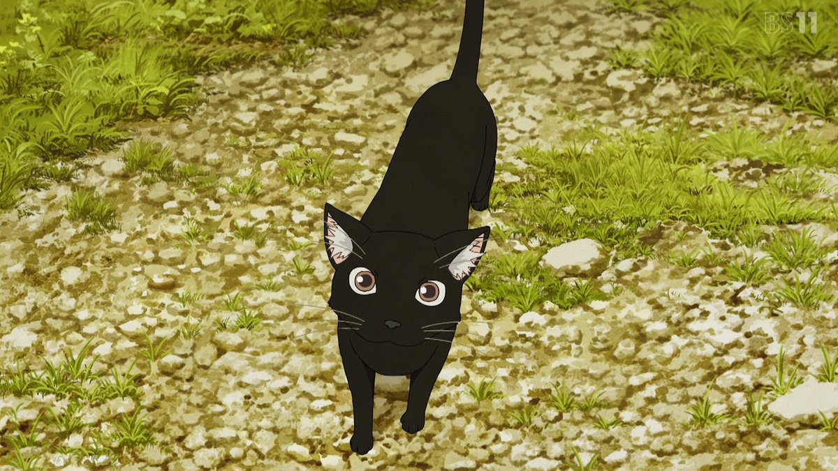 ヤニねこ 第6話 ツイート画像 1