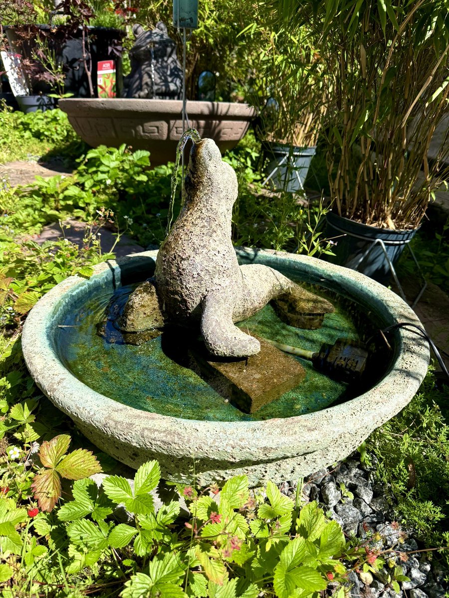 Shlissika's tweet photo. Seal fountain :3 https://t.co/VYz0dXJ73b