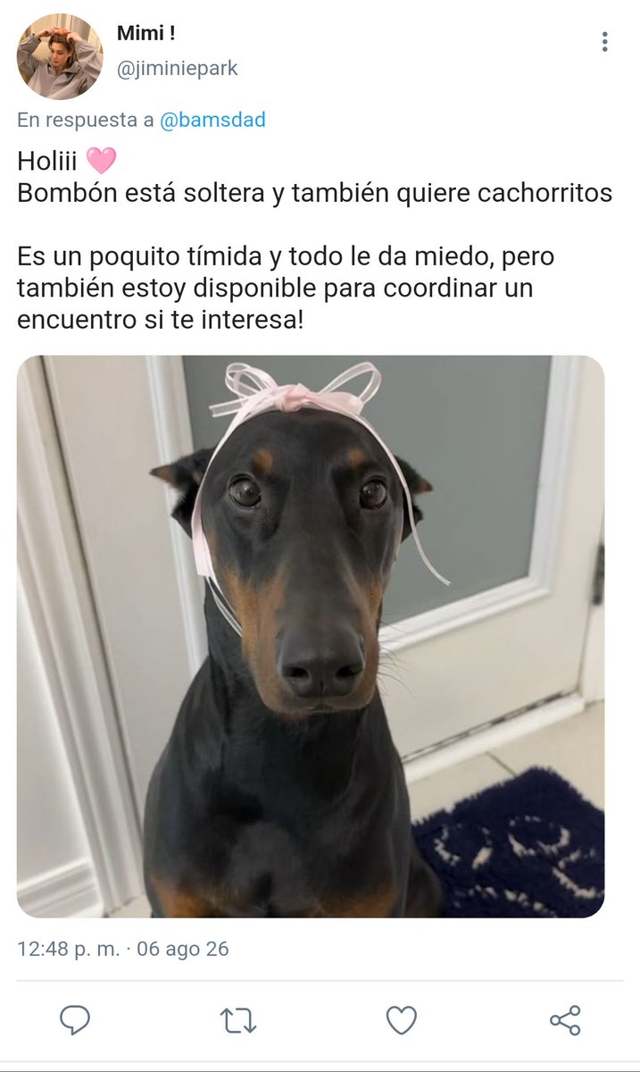 mimichipscheeks's tweet photo. un super mini au #kookmin 

En dónde jk está buscando que su "hijo" tenga cachorros 
O en dónde se termina enamorado del dueño de la nueva novia de su hijo perruno https://t.co/OJQJmgLqNG