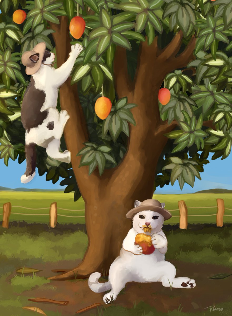 doggorevo's tweet photo. mango mango mango https://t.co/P5Fg8phIzh
