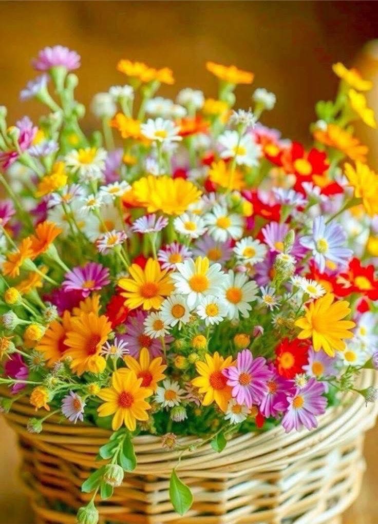 hasbihal1bz's tweet photo. "Esas olan ölüyü kabirden kaldırmak değil,
Ölü olan kalpleri diriltmektir "

Gün akşamda ☕️🌸 https://t.co/HbNNqzSwSr