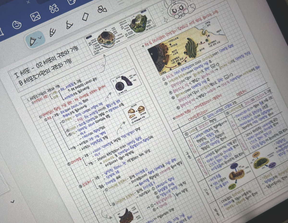 Kitty_xt09's tweet photo. https://t.co/K1iEhurpGr
