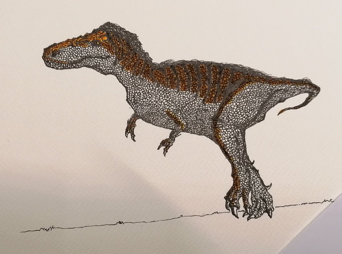 amartinezgiralt's tweet photo. Us en comparteixo també el procés de dibuix i d'acolorit, que inclou l'escatat.
Ara només espero poder lliurar aquest T-Rex a l'homenatjat! (6/6)
#tyrannosaurusrex #T_Rex #tiranosaure #dinosaure
#dibuix #dibuixamà https://t.co/07540qfMCD