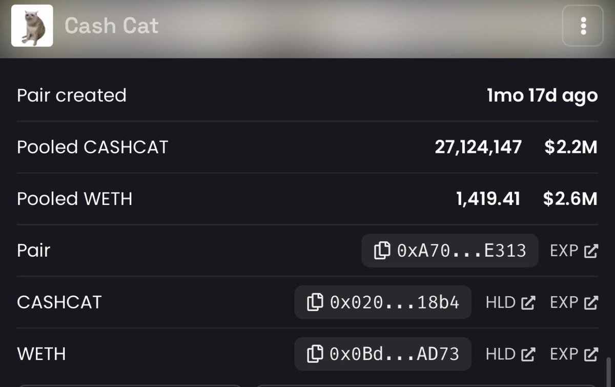 notEezzy's tweet photo. $CASHCAT - Created 1mo, 17d ago - $130M MC, $200M ATHs

Robinhood Pepe, $REPE - Created 1mo, 17d ago - $250K MC, $5.6M ATH. 

Cashcat ATH means ALL OG Robinhood memes that pumped on their initial run the first time AND survived the dips over the last 3 weeks will start going for ATHs again following the leader Cat.

REPE Mode 🐸

0x5266eeafF092D6136AB63D18B975A60a0Cc0C8f7